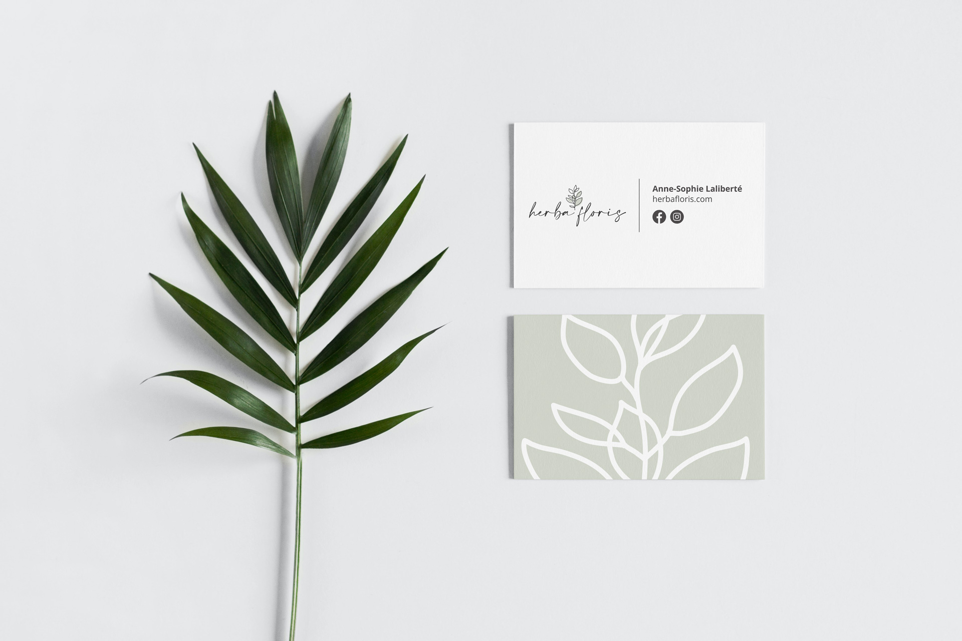 Herba Floris - carte d'affaires - Branding - Logo