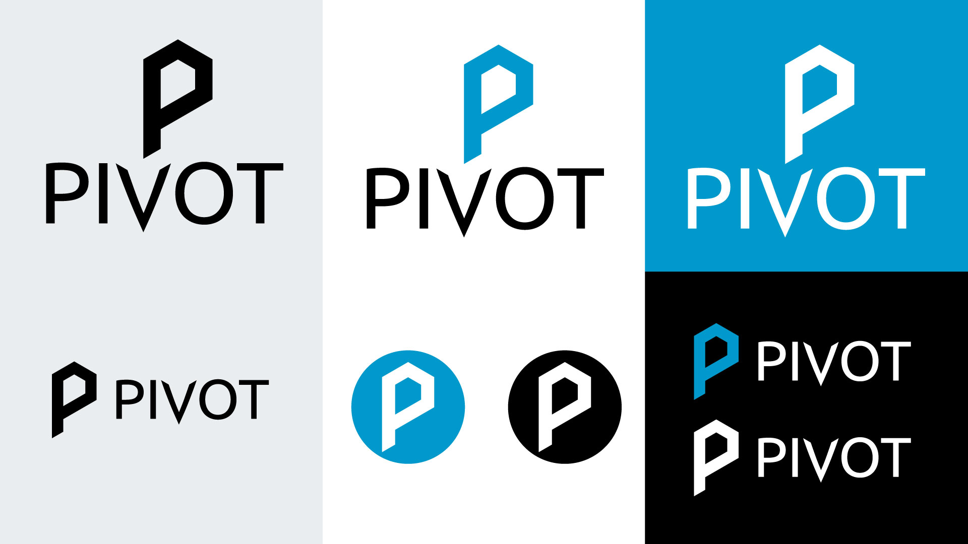 Proposition 2 - Logo de Pivot Consultants